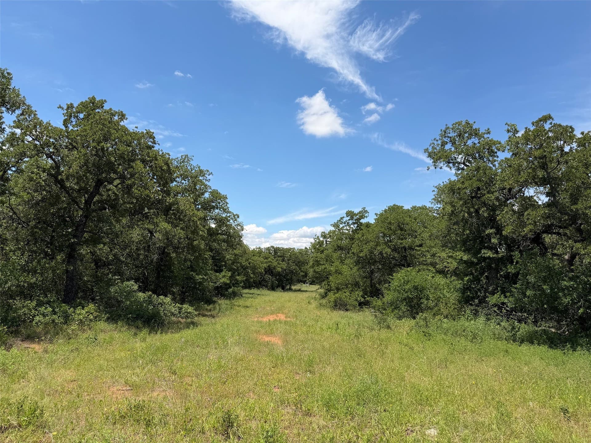 79.79 acres in Young County - photo 10