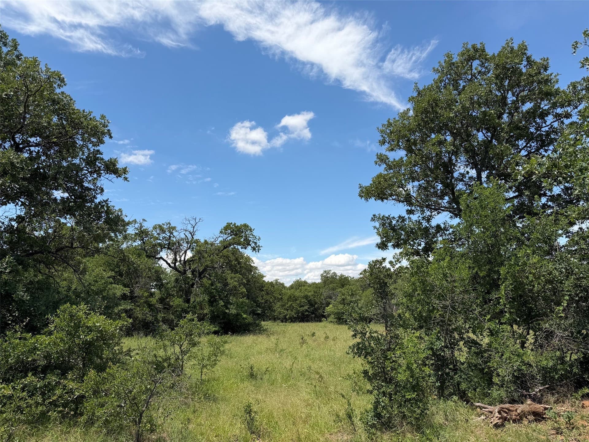 79.79 acres in Young County - photo 6
