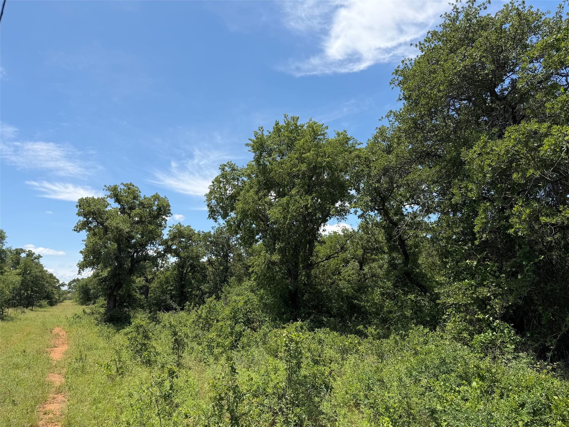 79.79 acres in Young County - photo 9