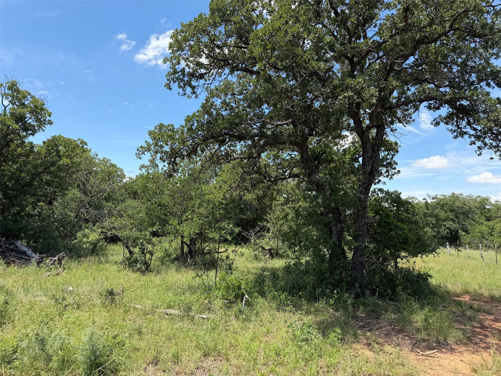 79.79 acres in Young County - photo 5