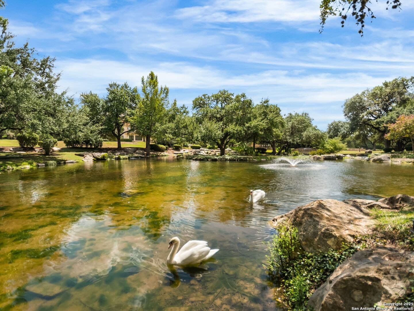 0.29 acres in Bexar County - photo 23