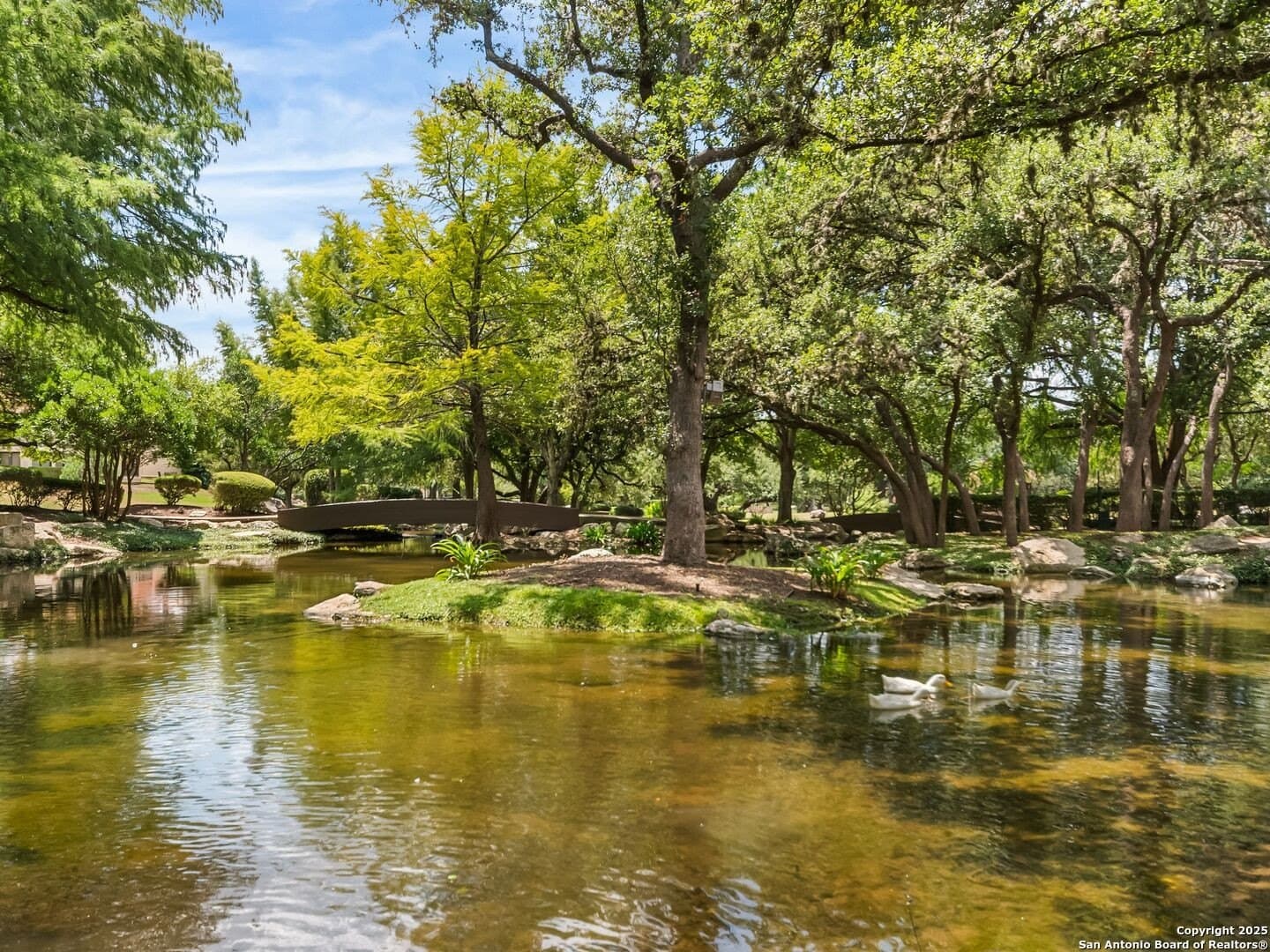 0.29 acres in Bexar County - photo 19