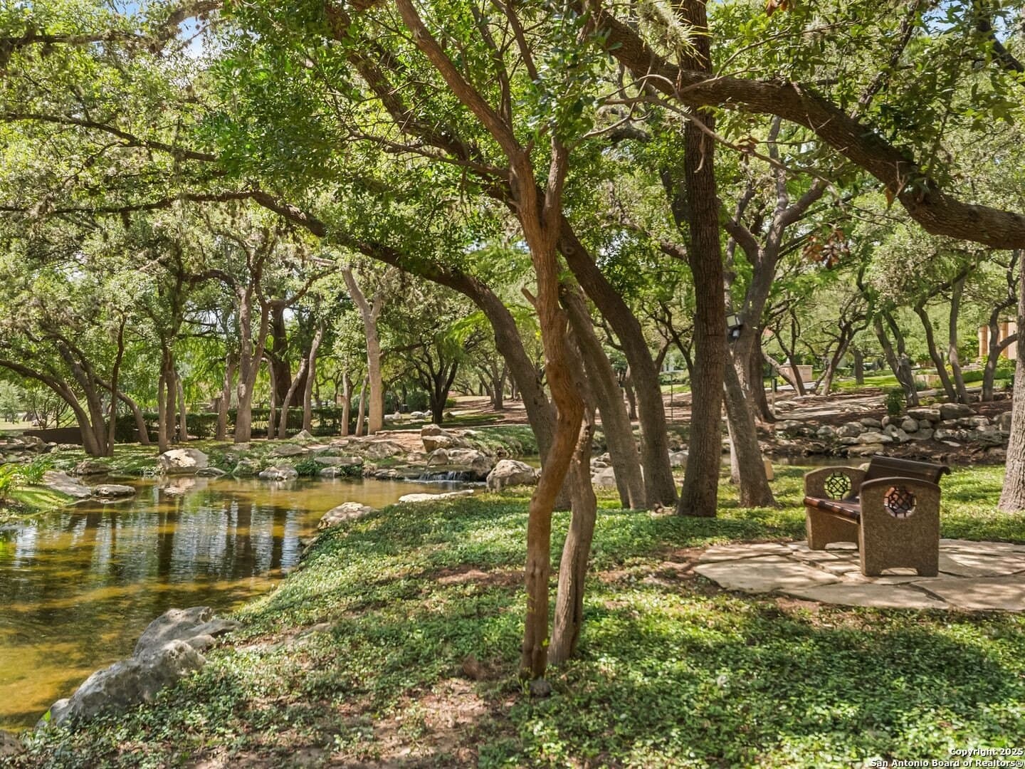 0.29 acres in Bexar County - photo 18