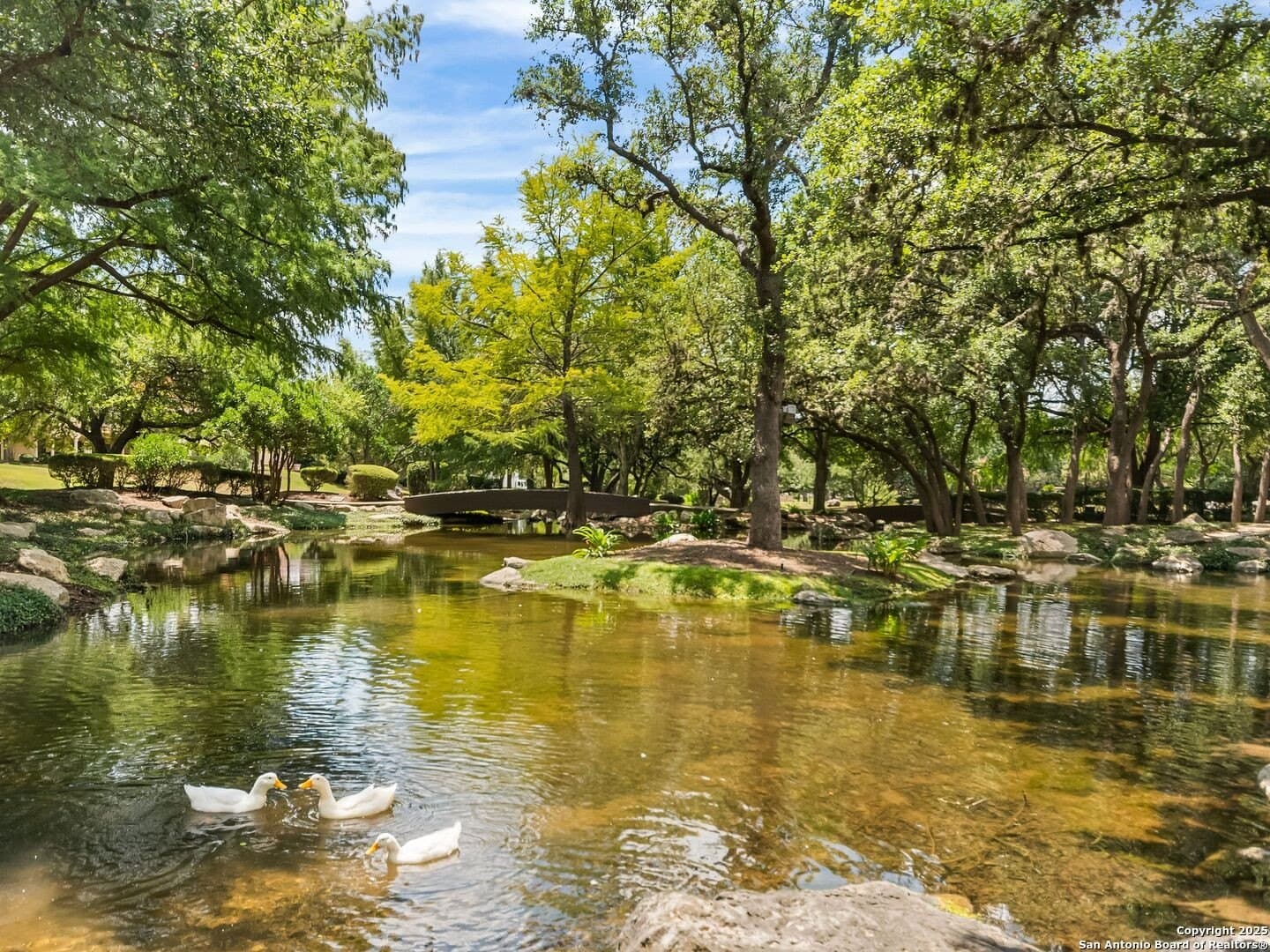 0.29 acres in Bexar County - photo 17