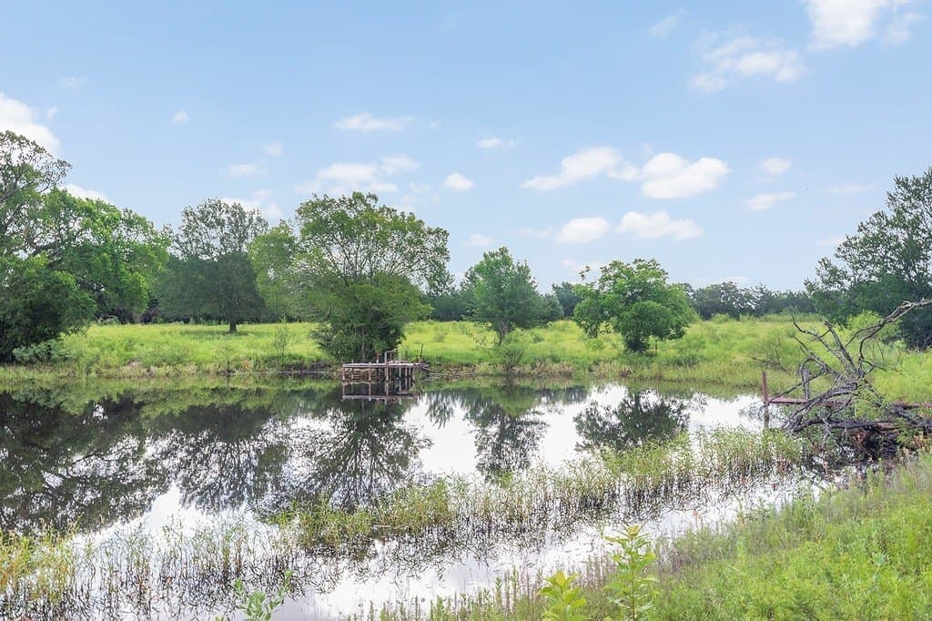 53.11 acres in Washington County gallery image 3