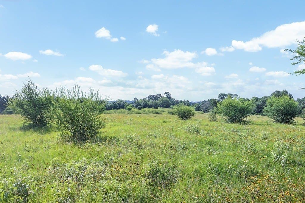 53.11 acres in Washington County - photo 30