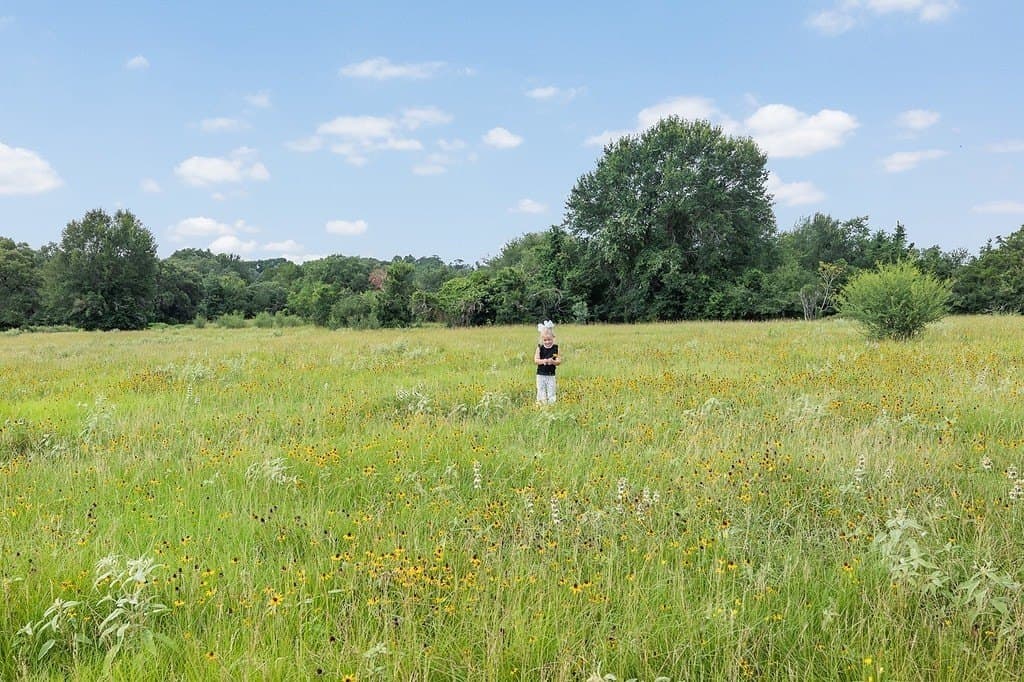 53.11 acres in Washington County - photo 8