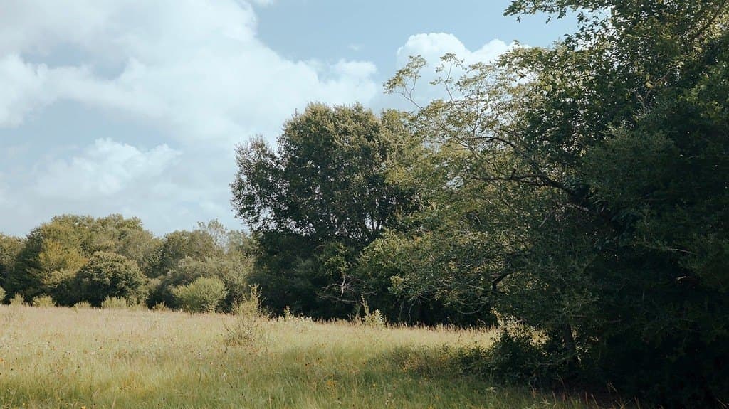 53.11 acres in Washington County - photo 19