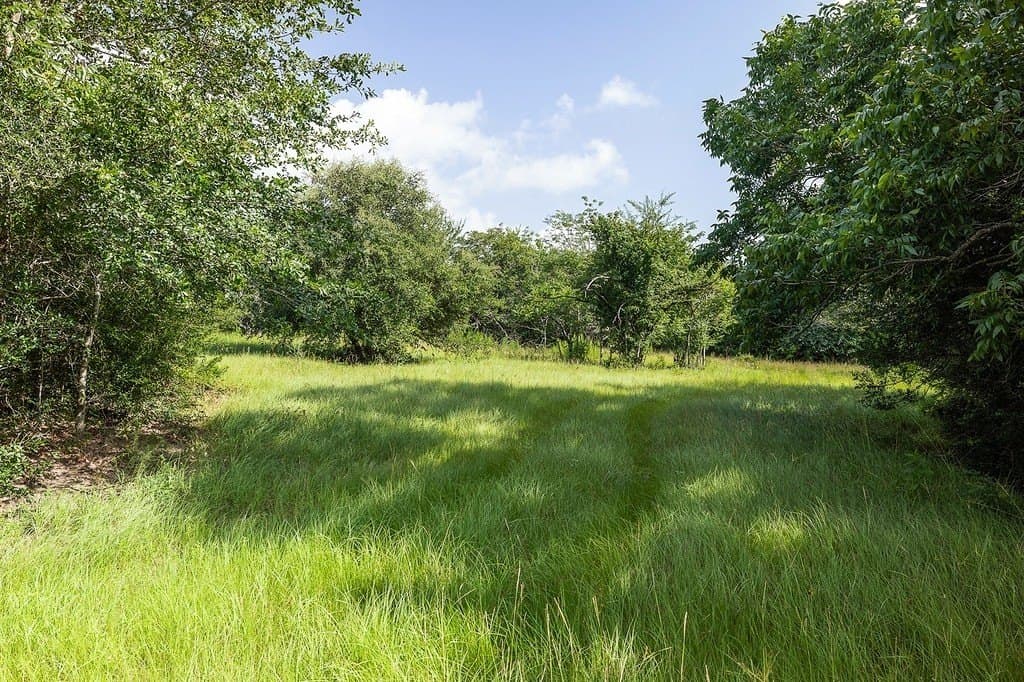 53.11 acres in Washington County - photo 13