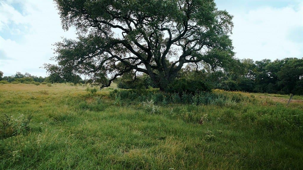 53.11 acres in Washington County gallery image 4