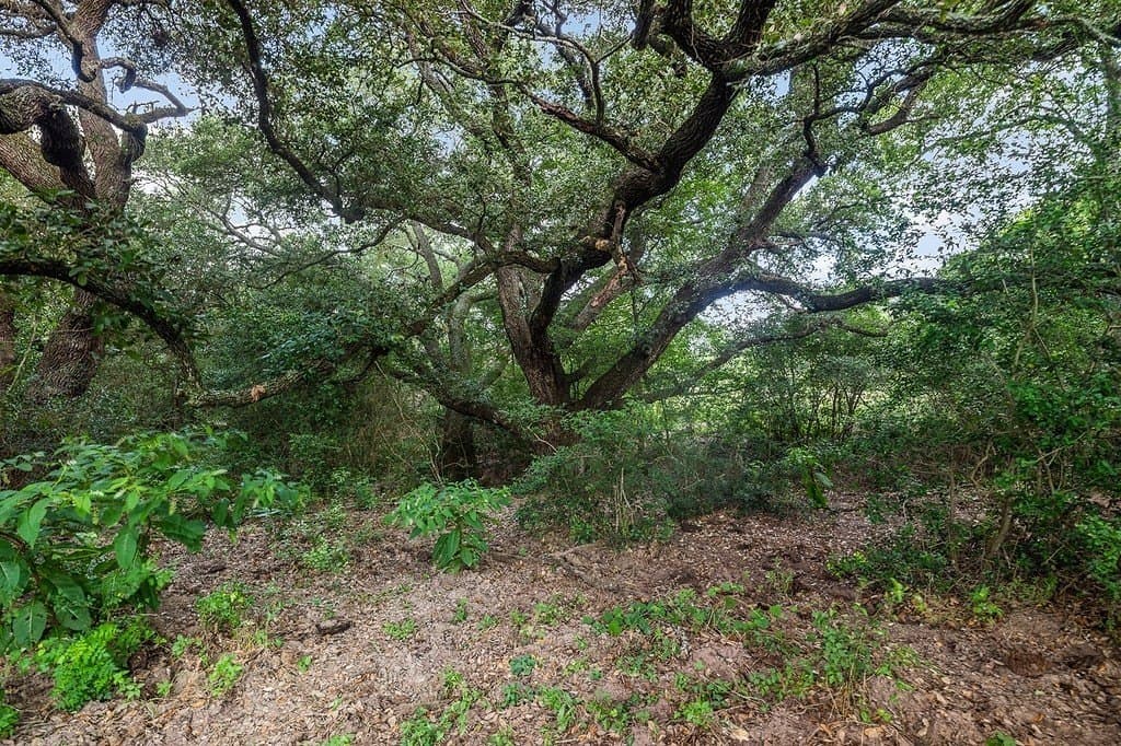 53.11 acres in Washington County gallery image 2