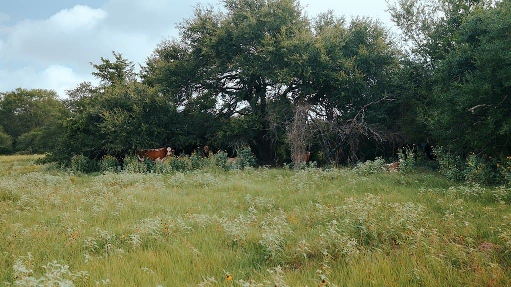 53.11 acres in Washington County - photo 16