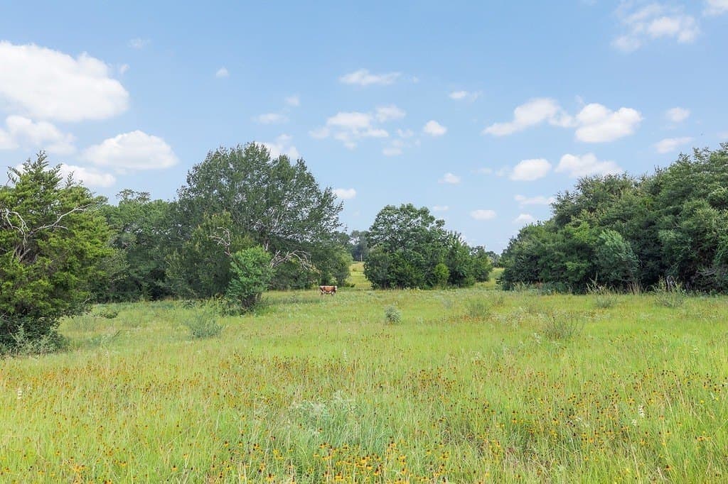 53.11 acres in Washington County - photo 7