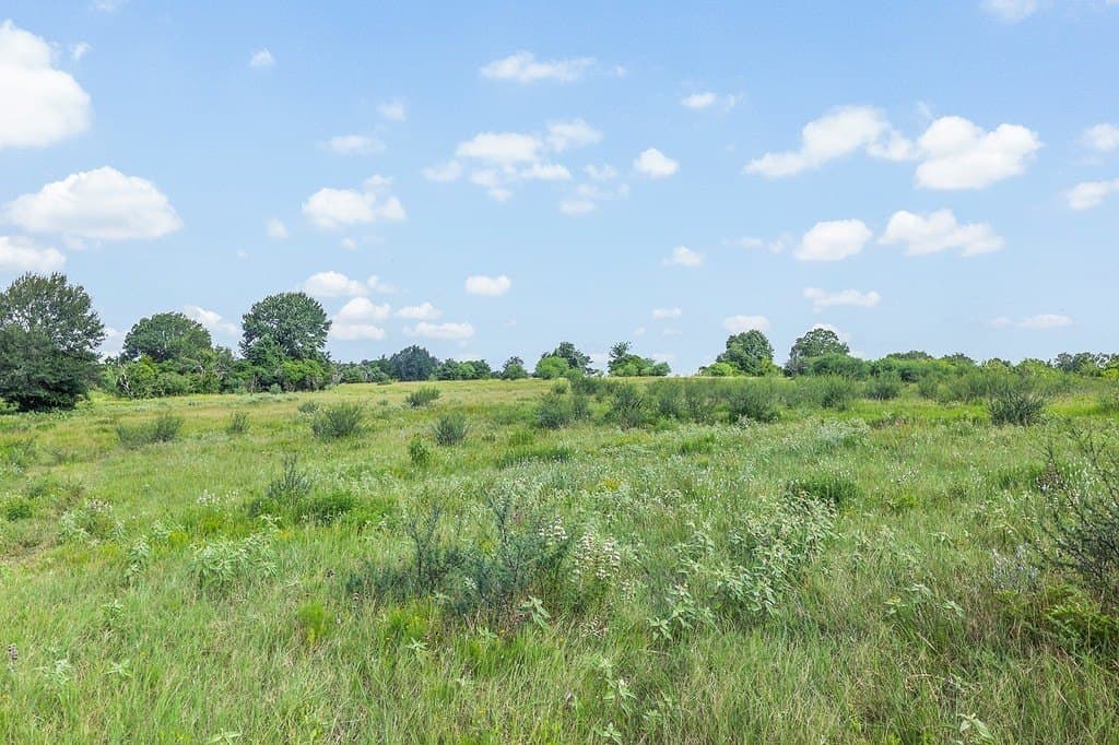 53.11 acres in Washington County - photo 29