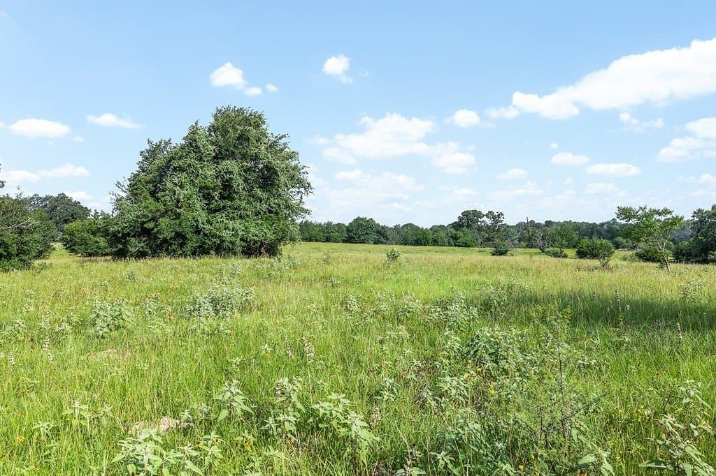 53.11 acres in Washington County - photo 23