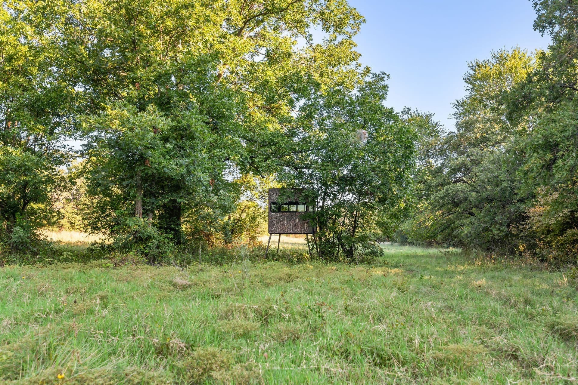 138.27 acres in Montague County featured view