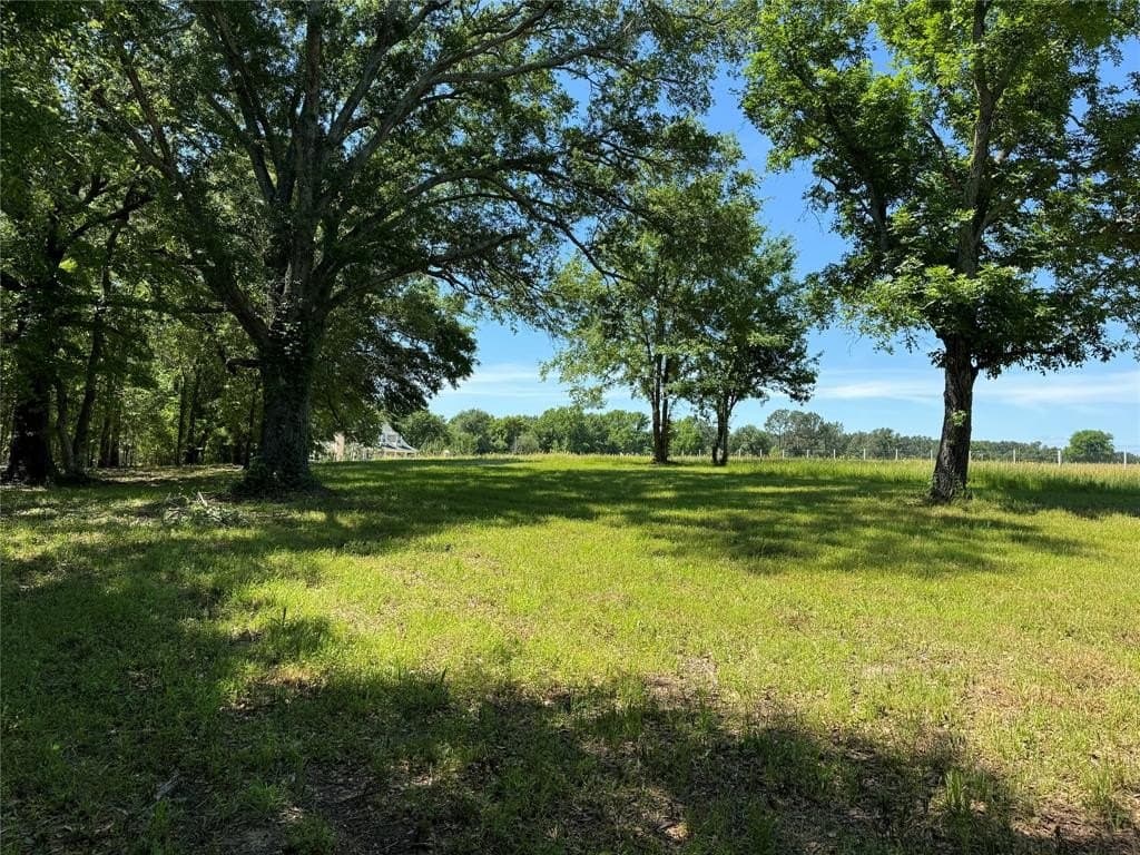 3.24 acres in Henderson County gallery image 2