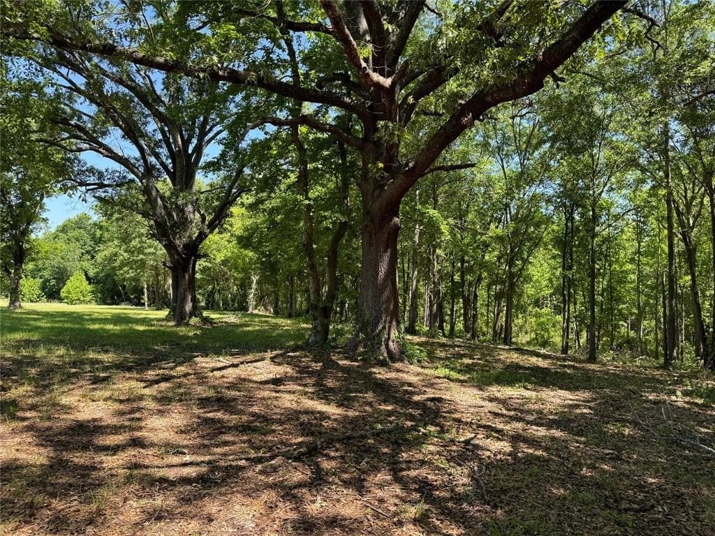 3.24 acres in Henderson County gallery image 4