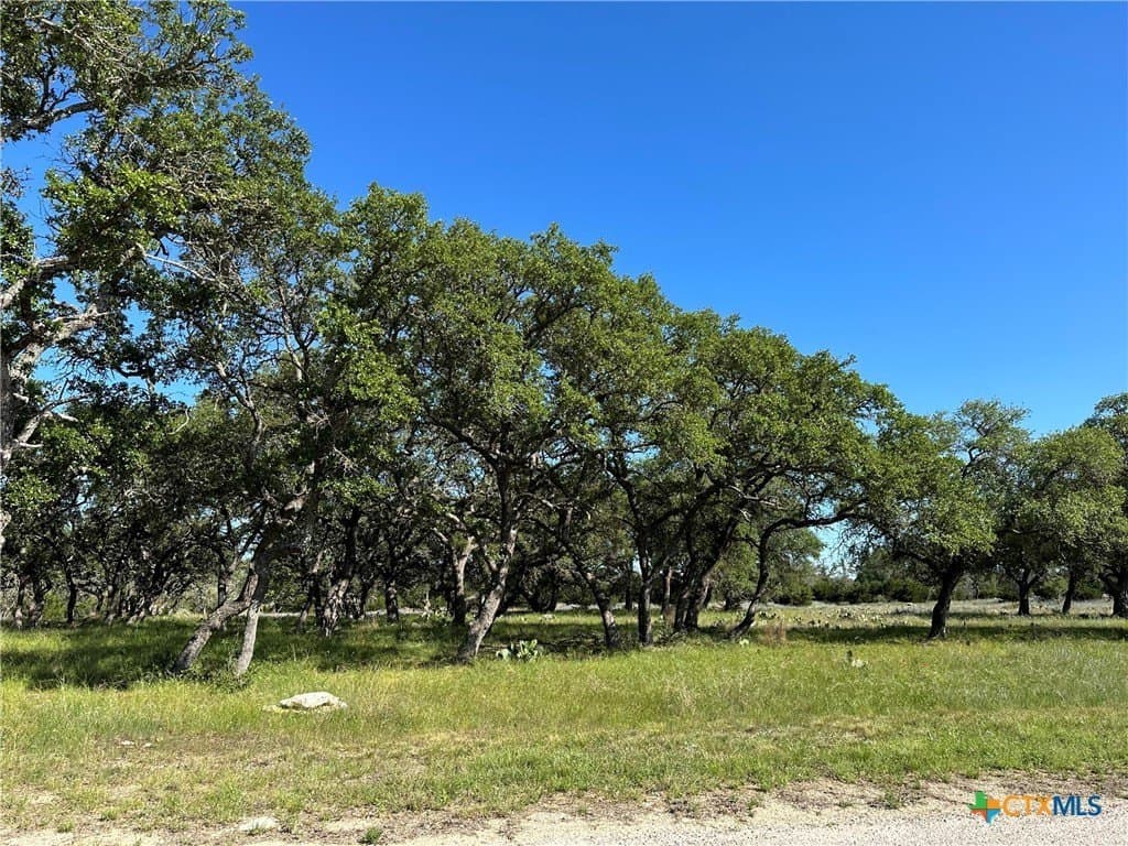 5 acres in Burnet County - photo 17