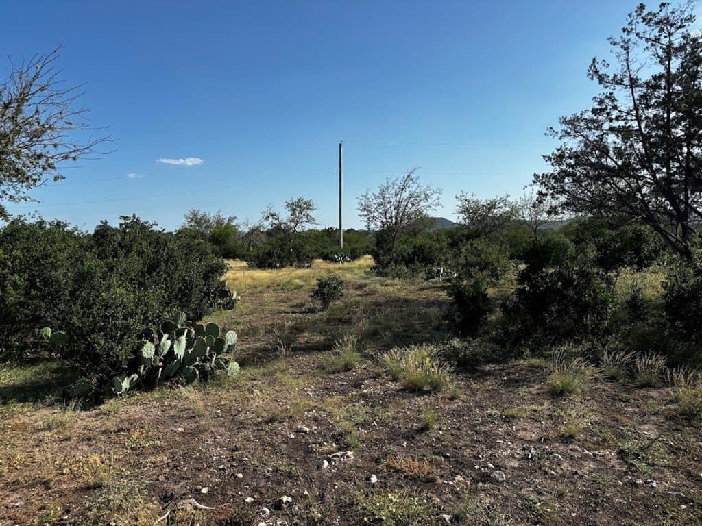 12 acres in Real County - photo 13