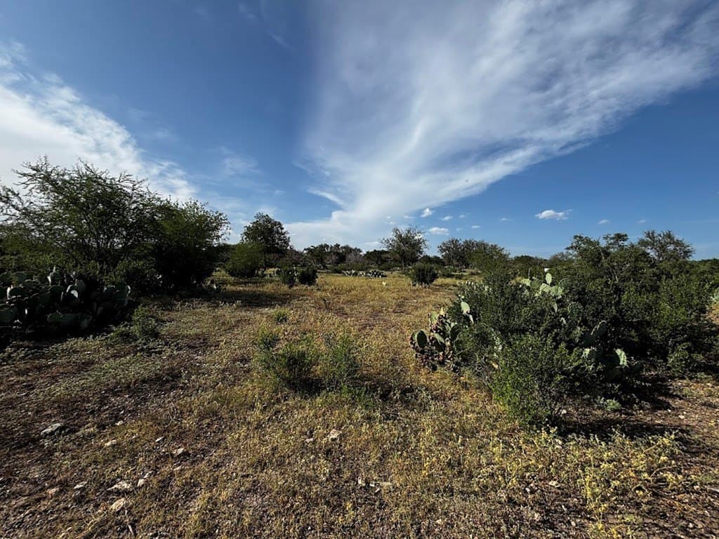 12 acres in Real County - photo 22