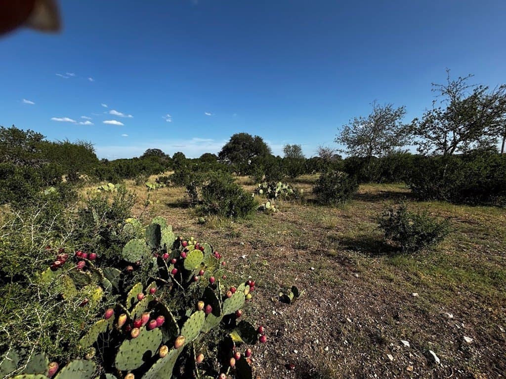 12 acres in Real County - photo 11