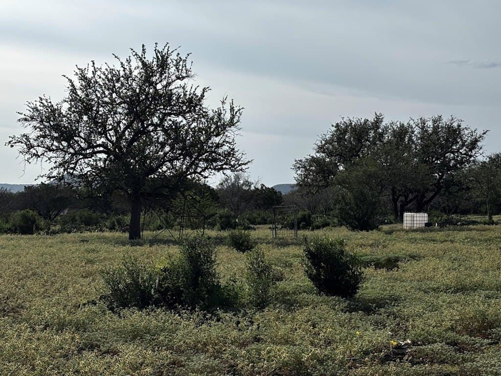 12 acres in Real County - photo 15