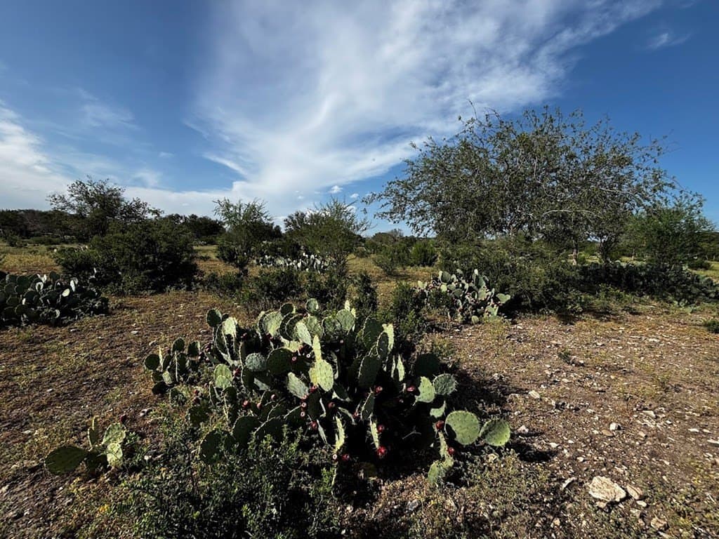 12 acres in Real County - photo 8