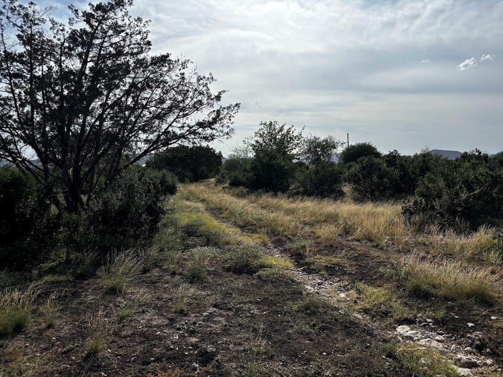 12 acres in Real County - photo 7