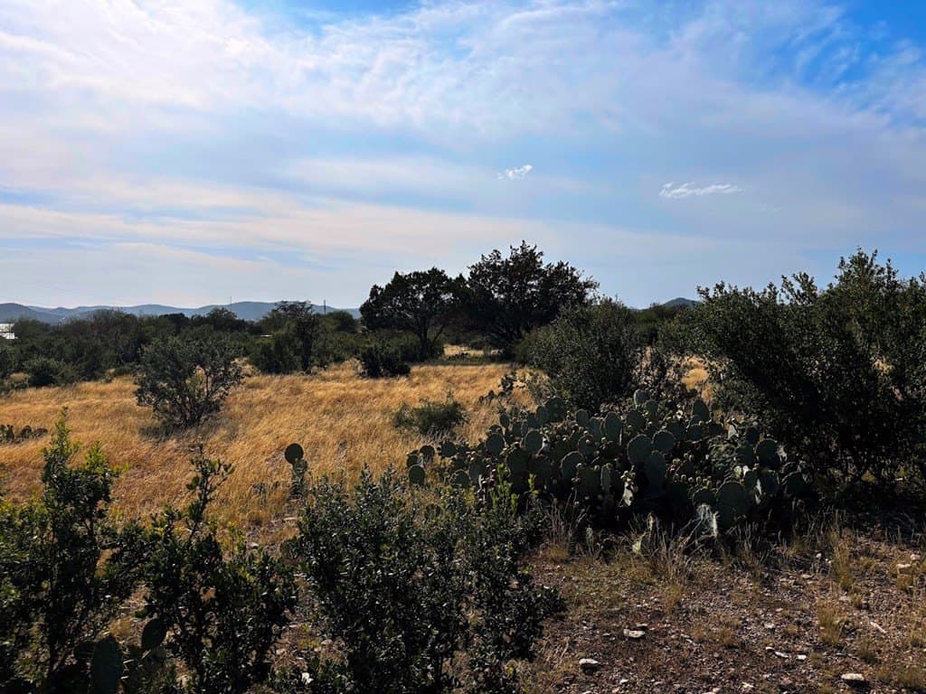 12 acres in Real County - photo 20