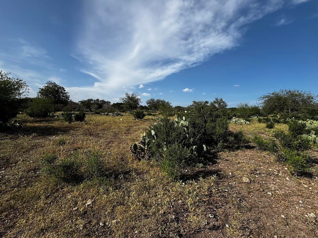 12 acres in Real County - photo 23