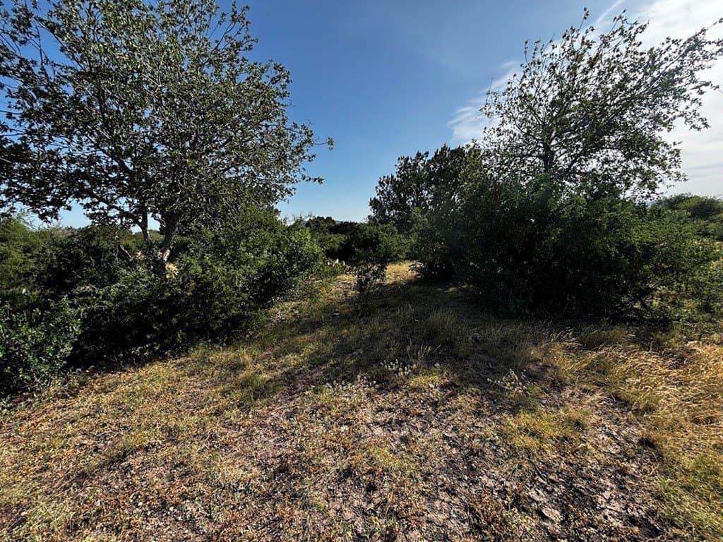 12 acres in Real County - photo 19