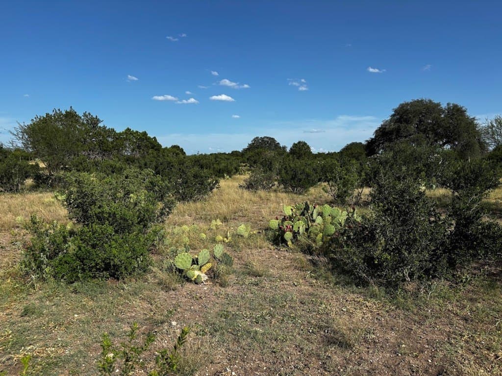 12 acres in Real County - photo 12