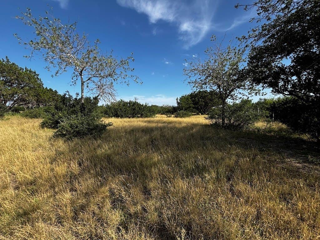 12 acres in Real County - photo 18
