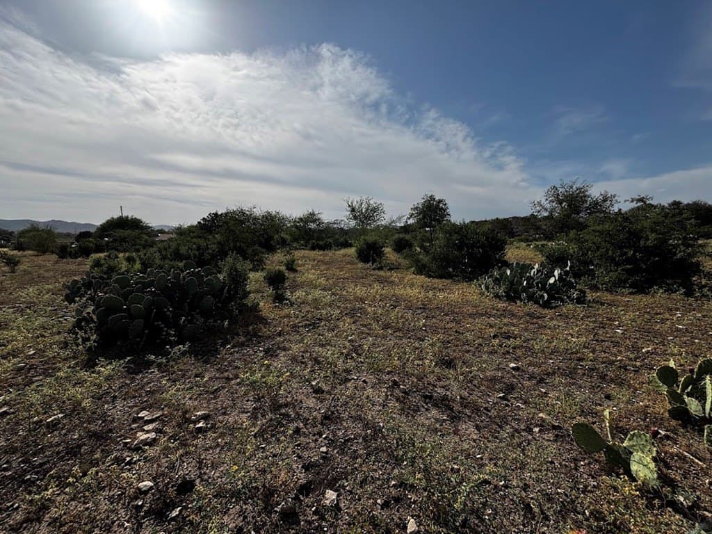 12 acres in Real County - photo 21