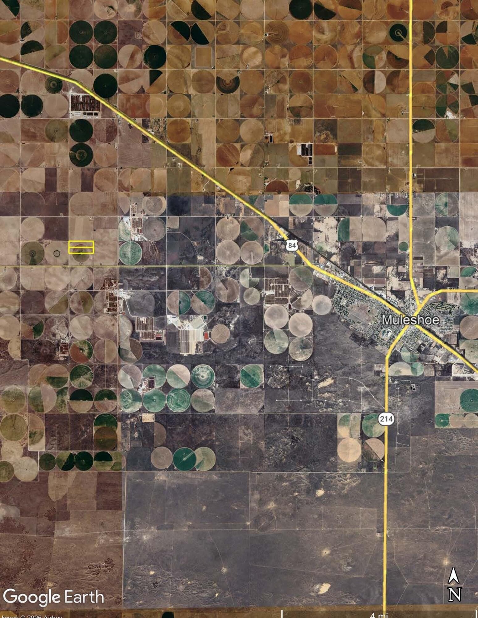 40 acres in Bailey County gallery image 2