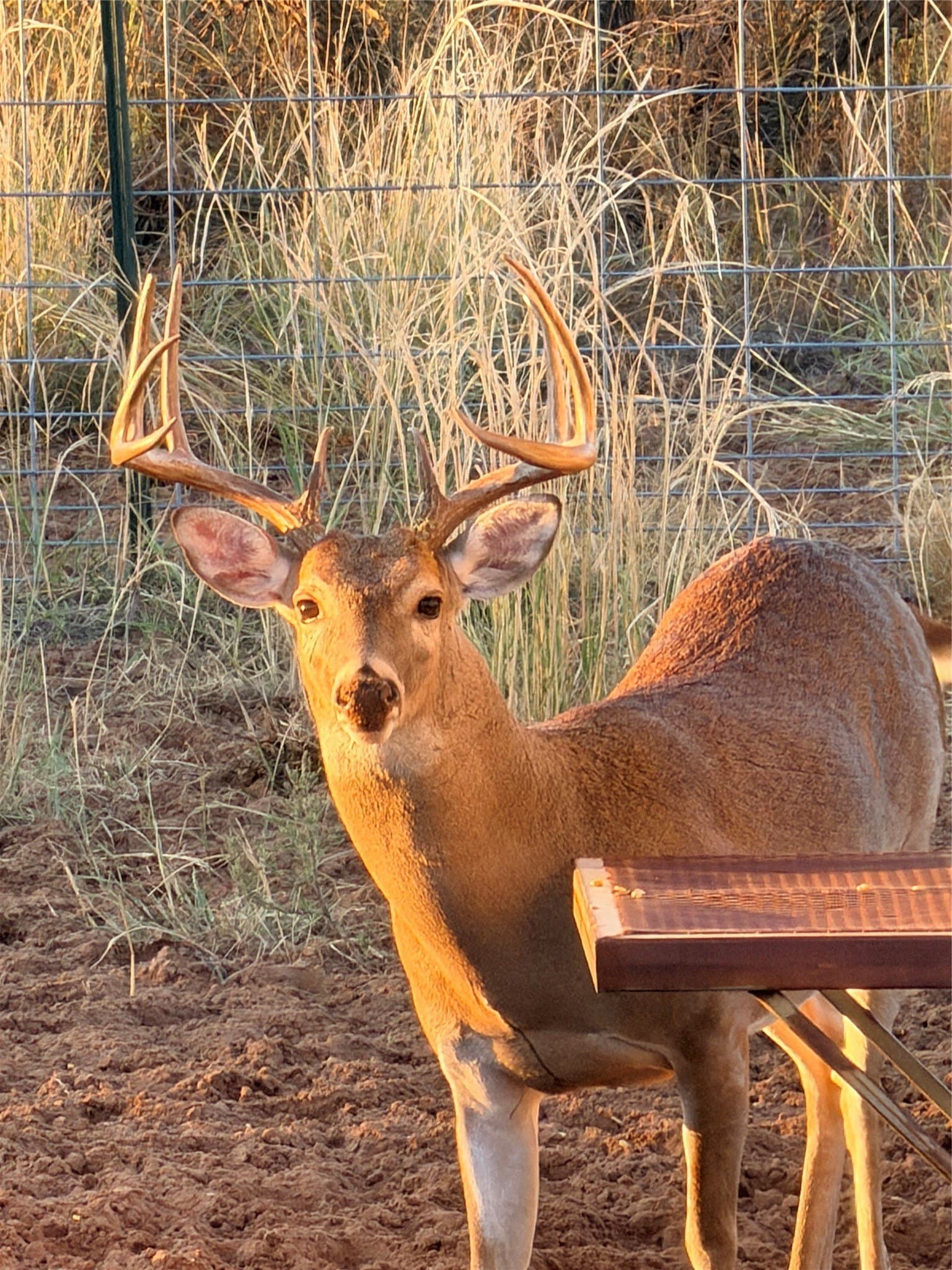 320 acres in Cottle County - photo 18