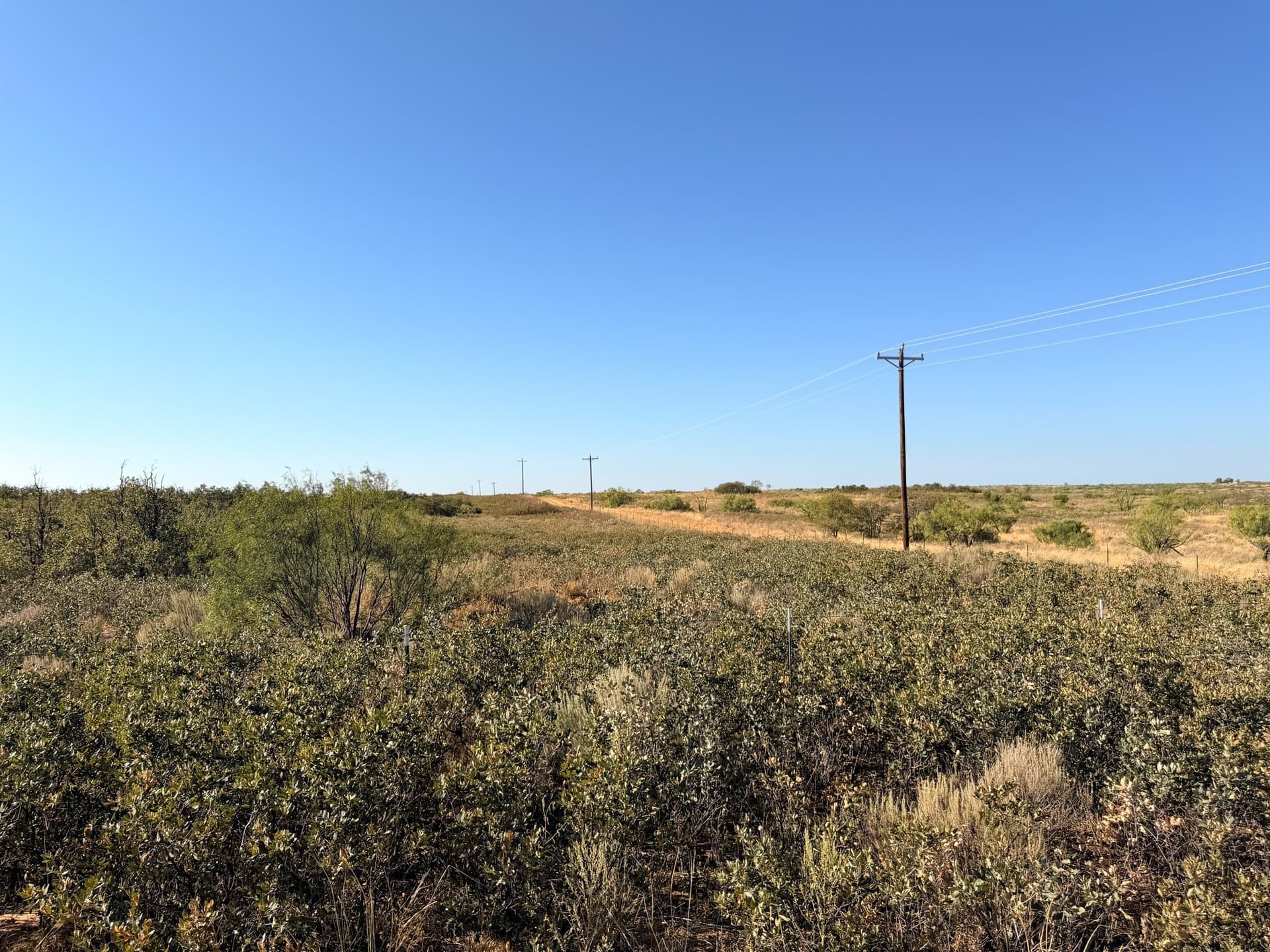 320 acres in Cottle County - photo 11