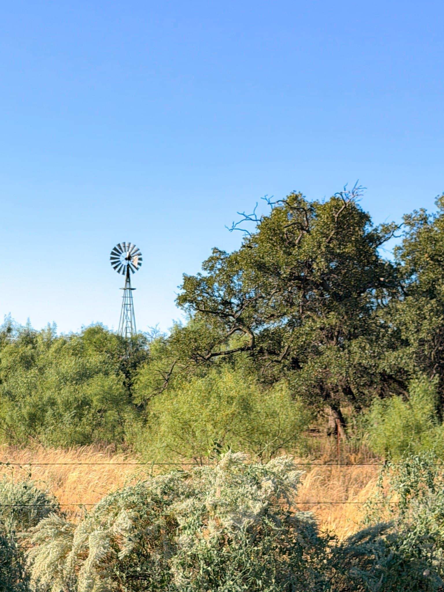 320 acres in Cottle County - photo 4