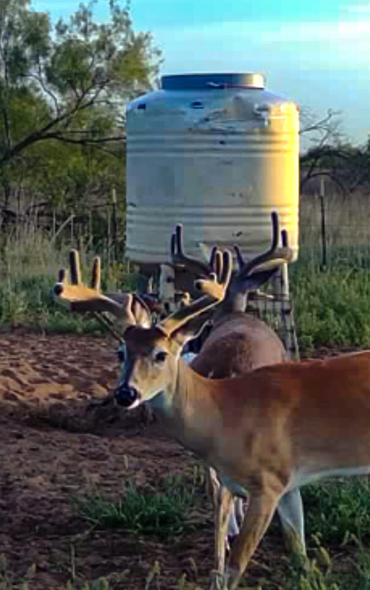 320 acres in Cottle County - photo 24