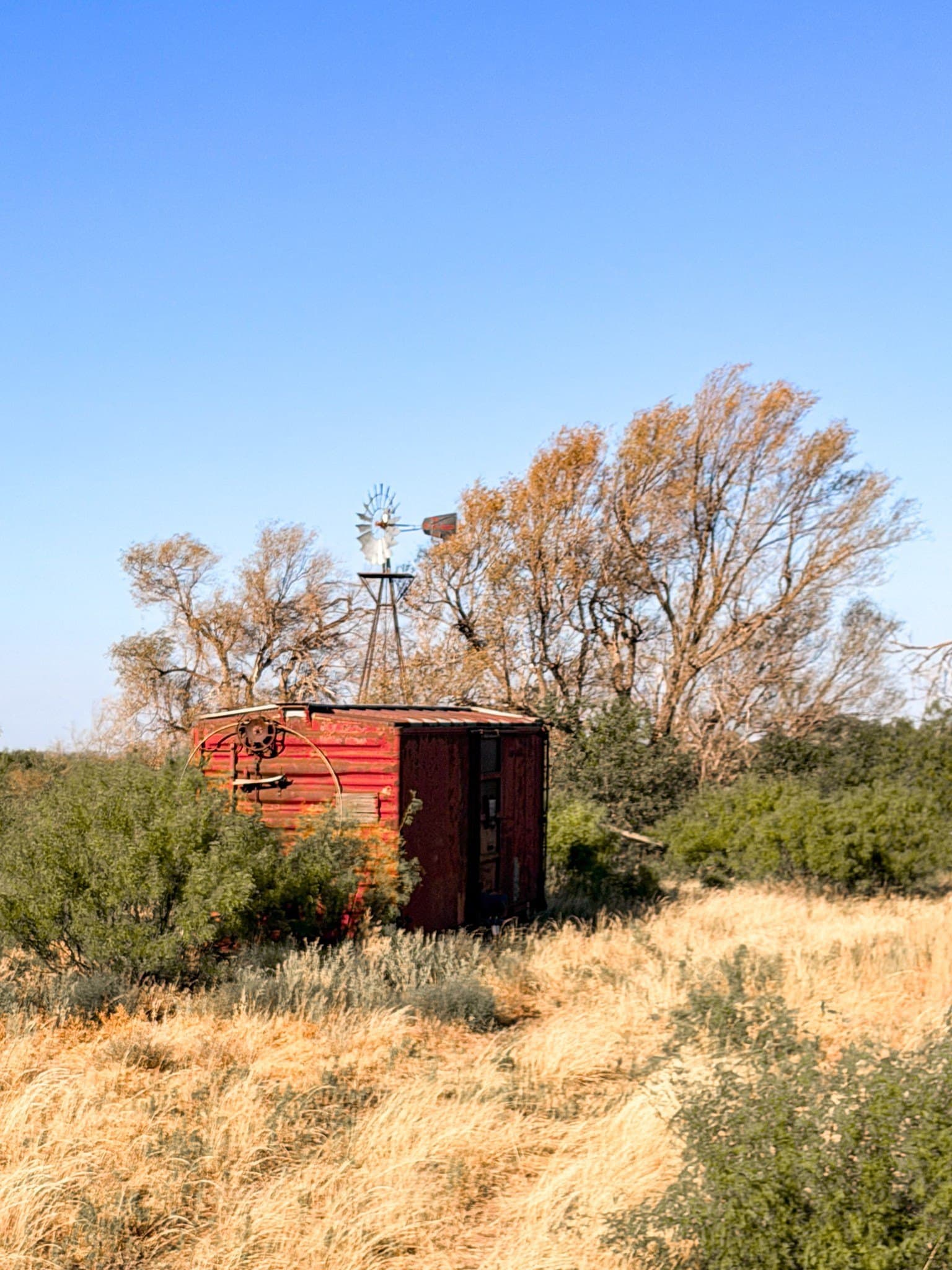 320 acres in Cottle County - photo 2