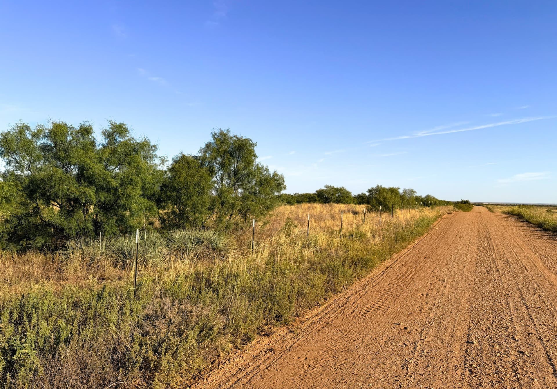 320 acres in Cottle County - photo 10