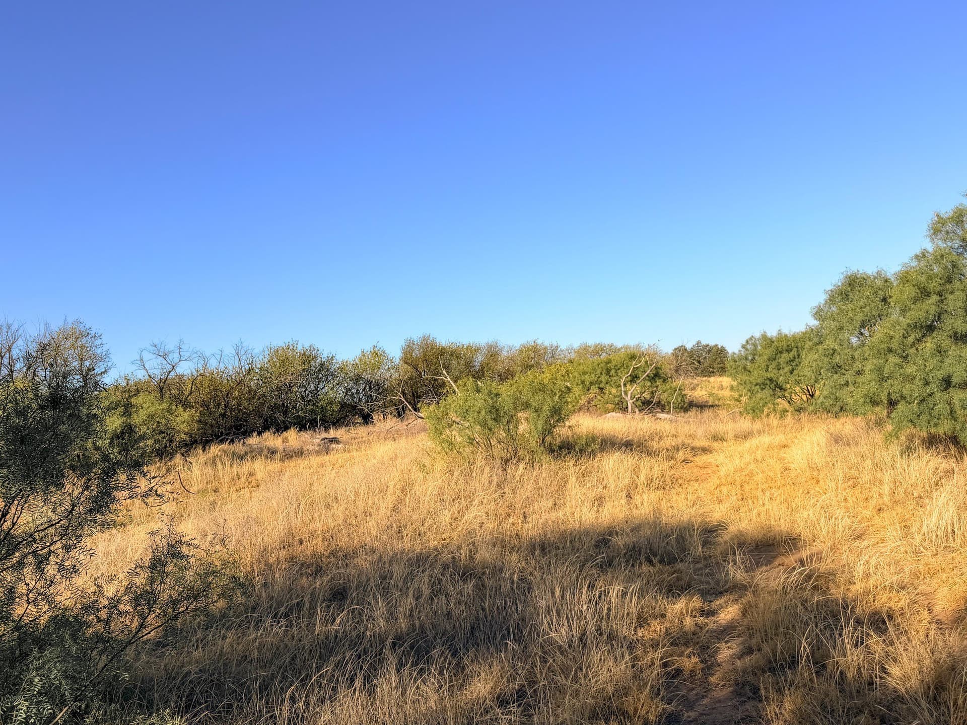 320 acres in Cottle County - photo 12