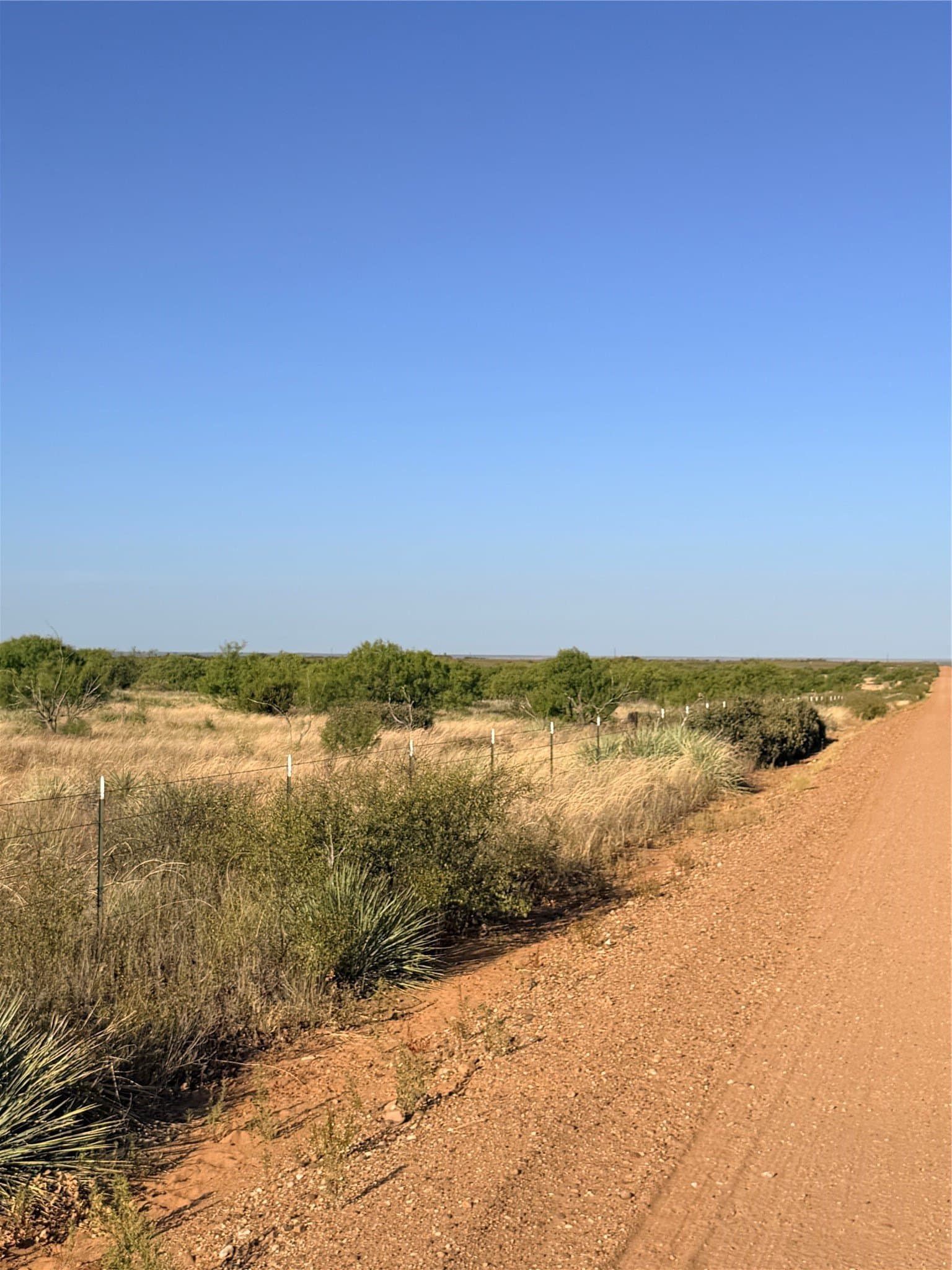 320 acres in Cottle County - photo 13
