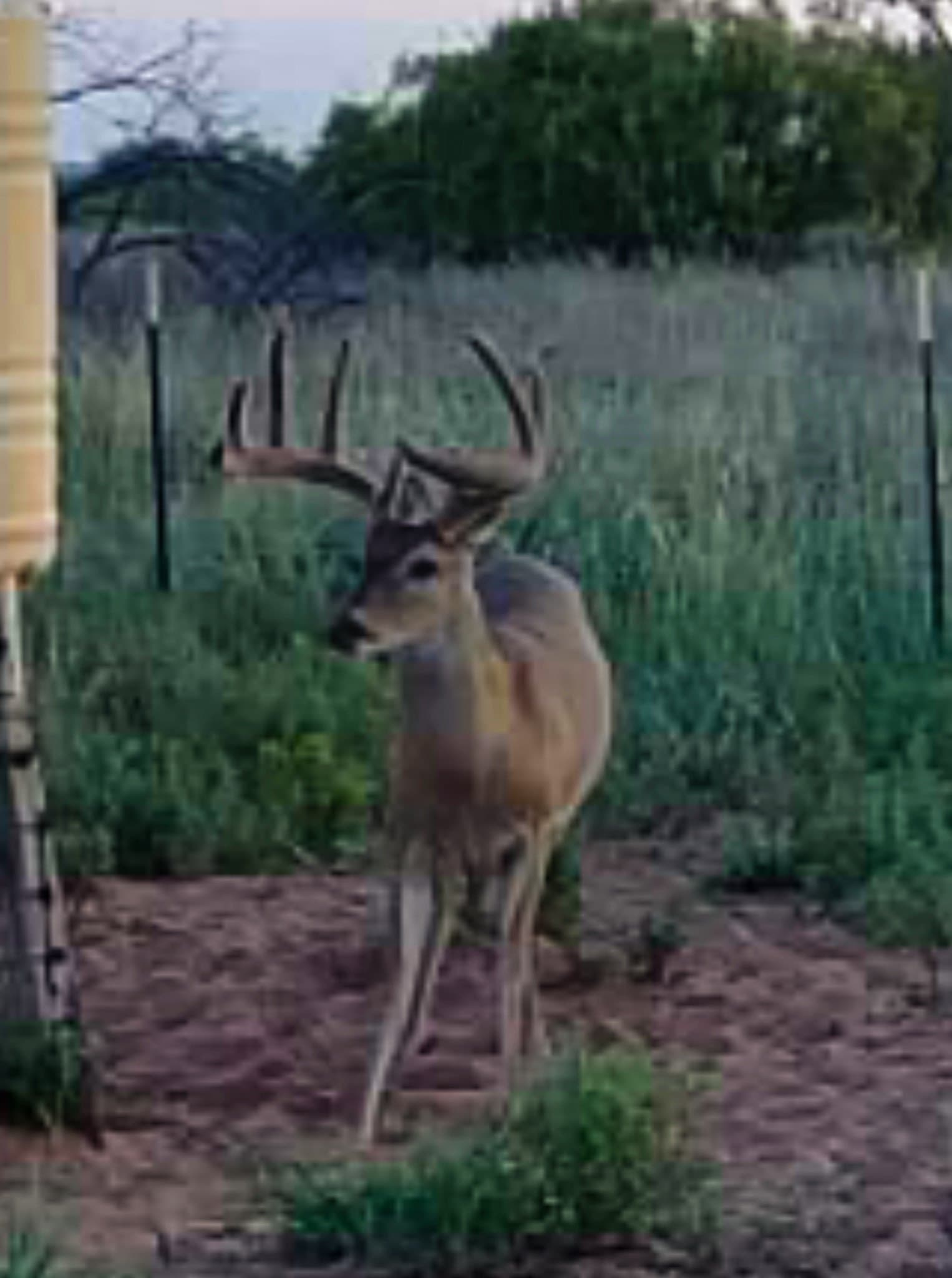 320 acres in Cottle County - photo 23