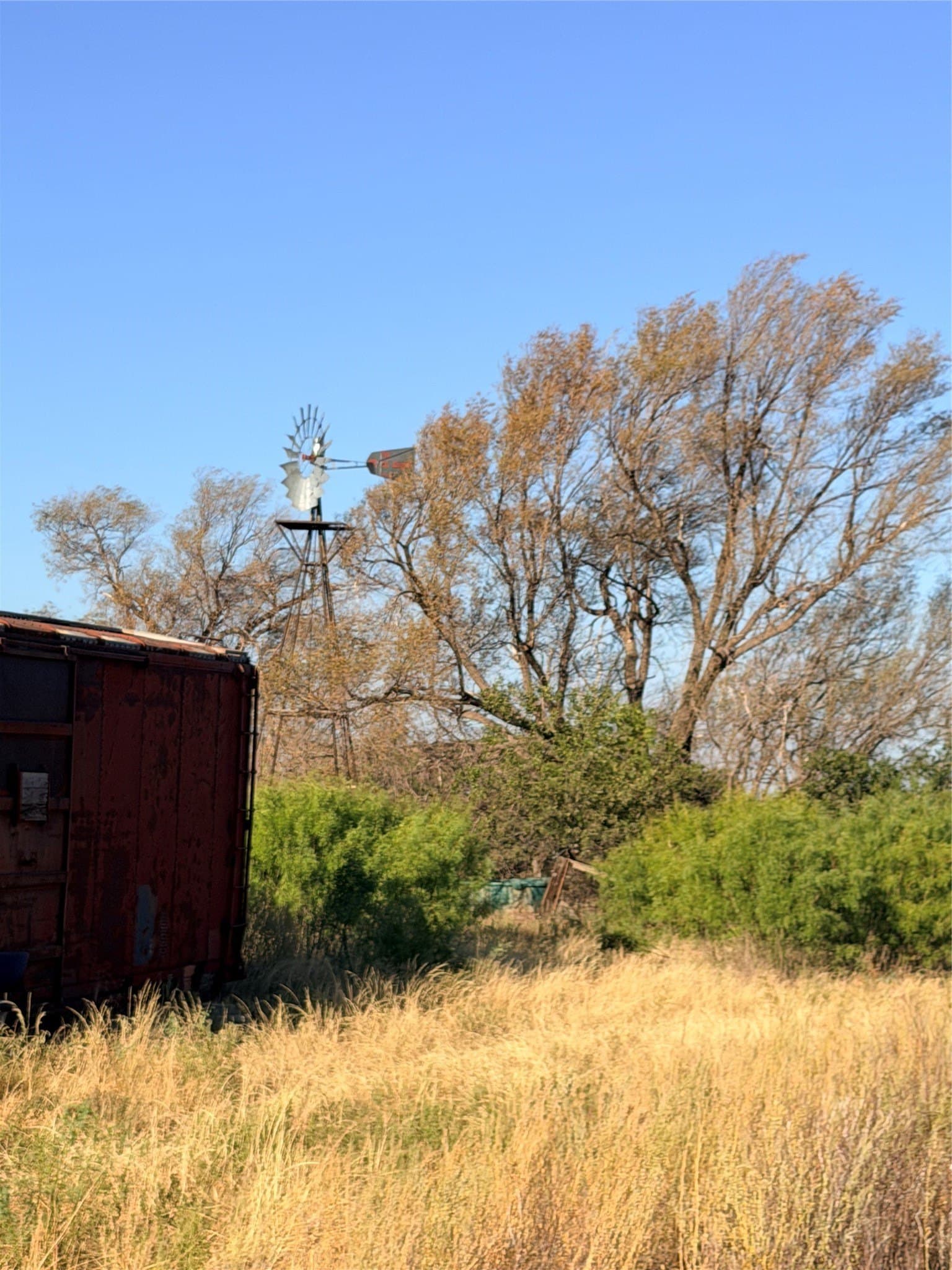 320 acres in Cottle County - photo 3