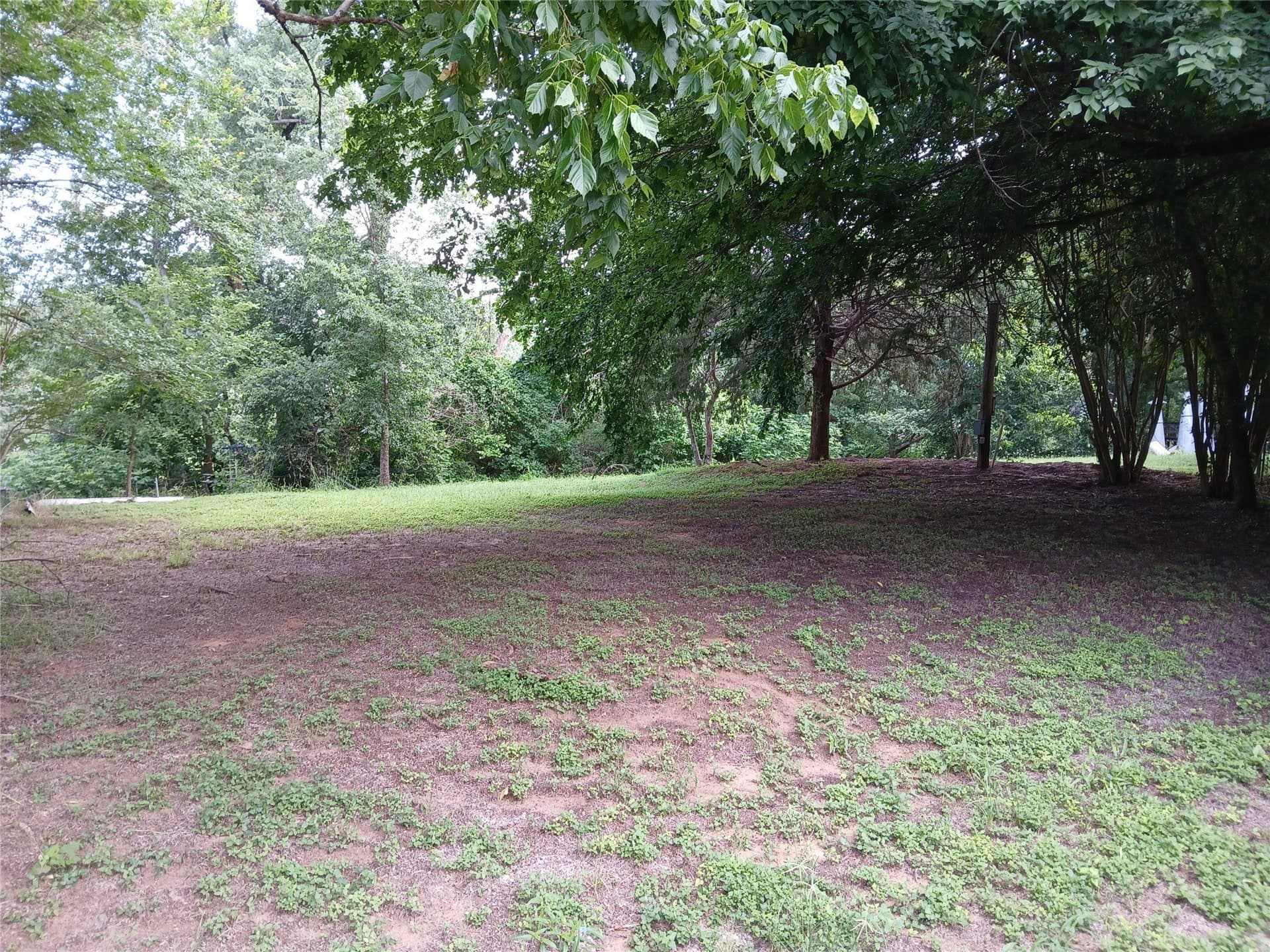 0.6 acres in Hill County gallery image 2
