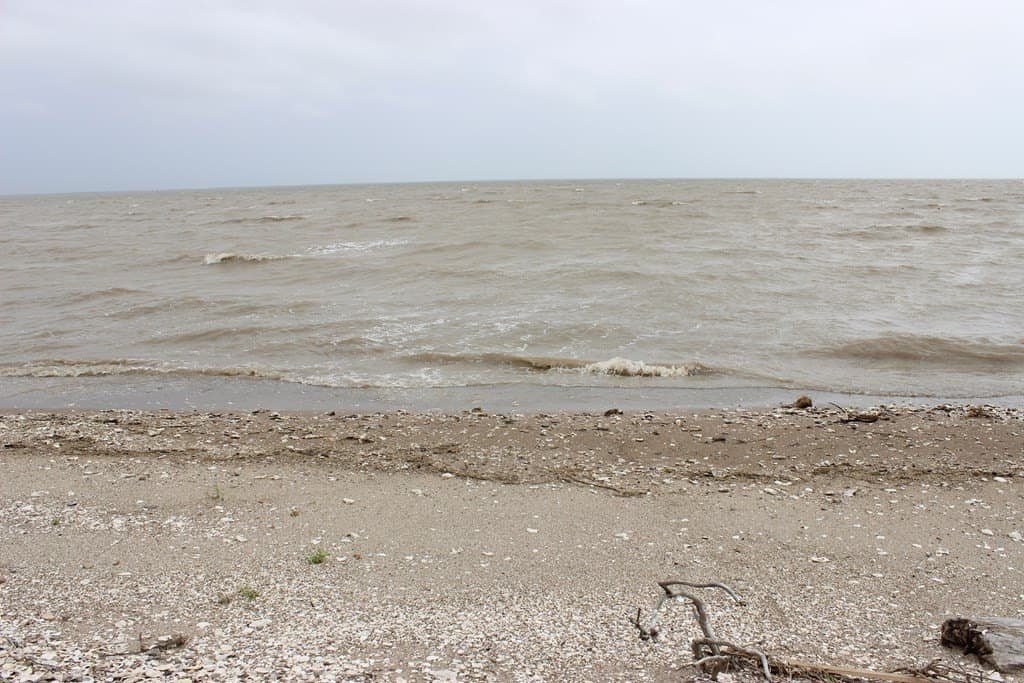 0.16 acres in Palacios Area County gallery image 4