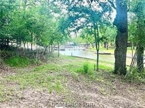 0.49 acres in Limestone County gallery image 4