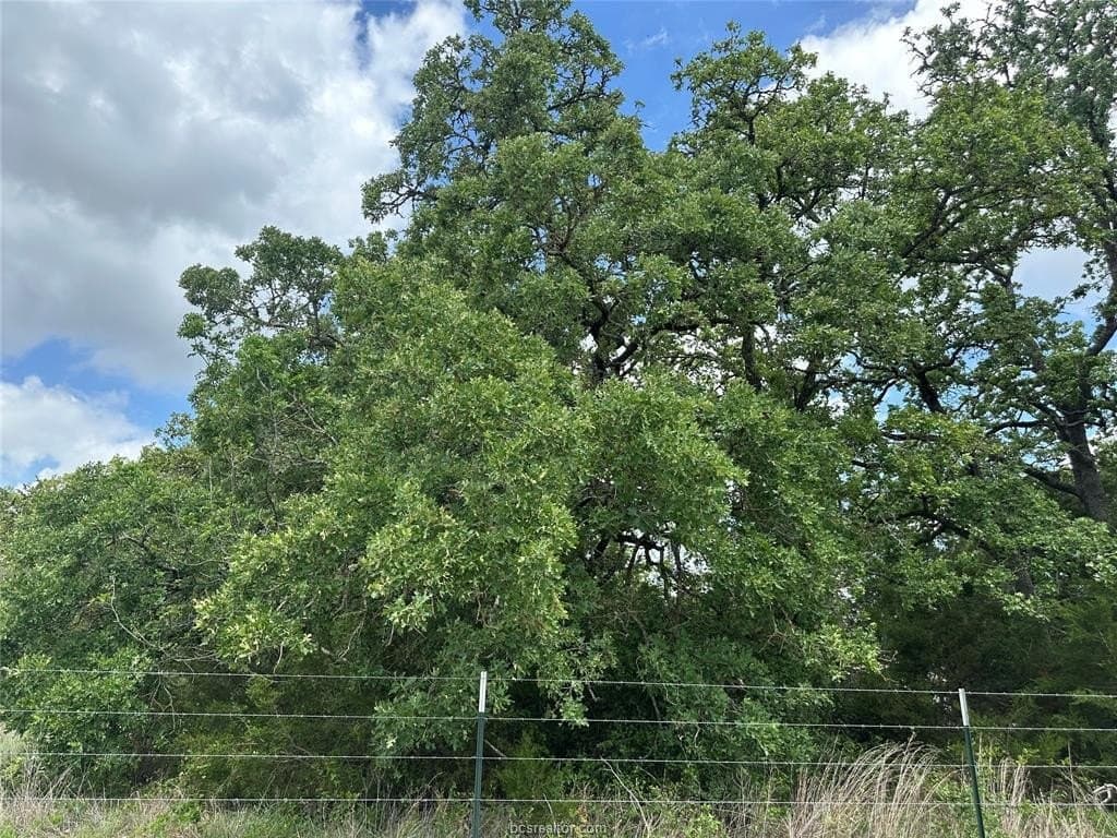 2 acres in Lee County featured view